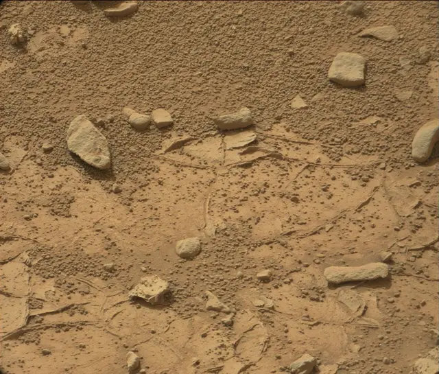 Sol 186: Mast Camera (Mastcam)