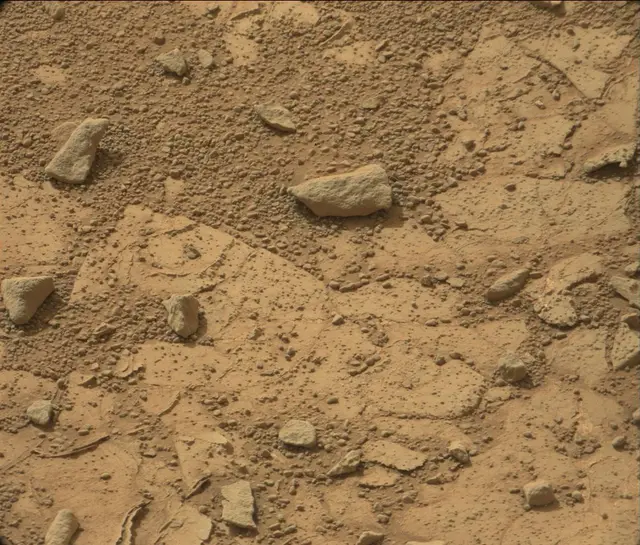 Sol 186: Mast Camera (Mastcam)