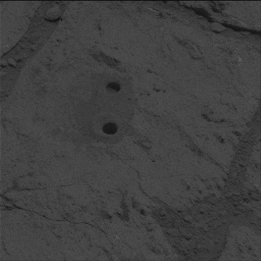 Sol 226: Mast Camera (Mastcam)