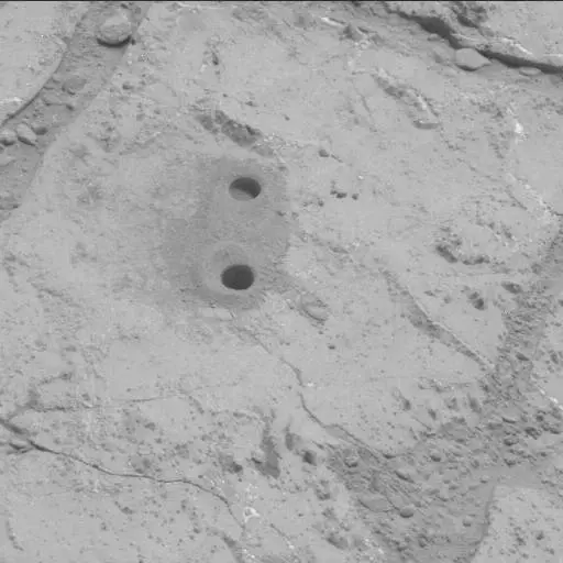 Sol 226: Mast Camera (Mastcam)