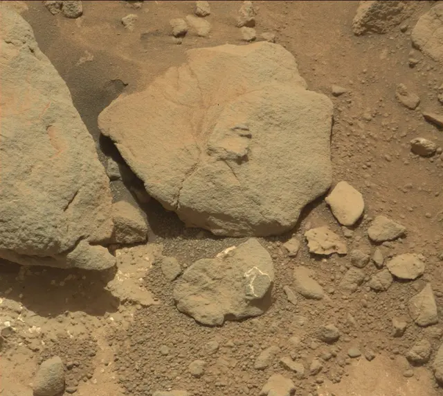 Sol 232: Mast Camera (Mastcam)