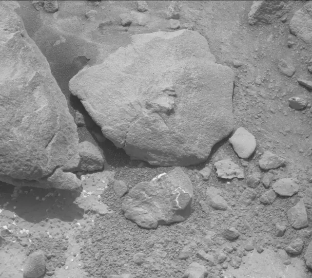 Sol 232: Mast Camera (Mastcam)