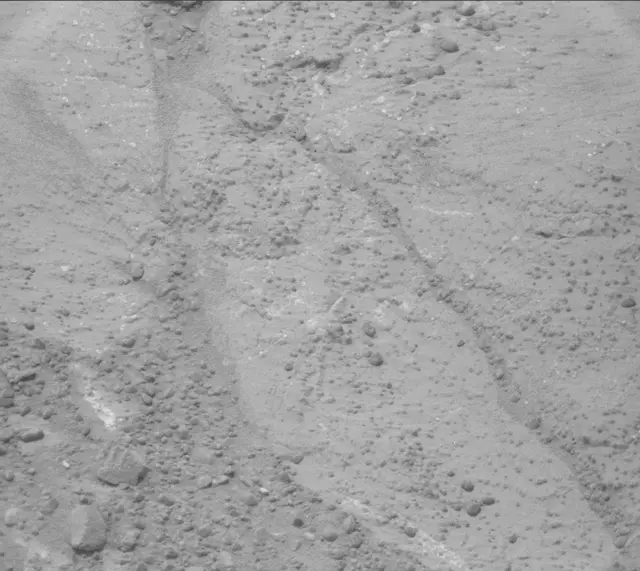 Sol 232: Mast Camera (Mastcam)