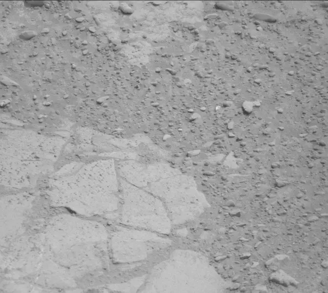 Sol 233: Mast Camera (Mastcam)