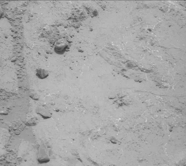 Sol 233: Mast Camera (Mastcam)
