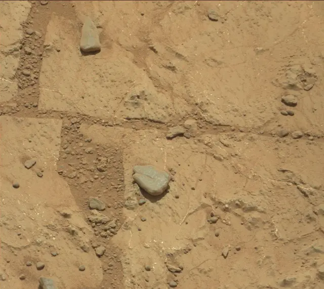 Sol 233: Mast Camera (Mastcam)