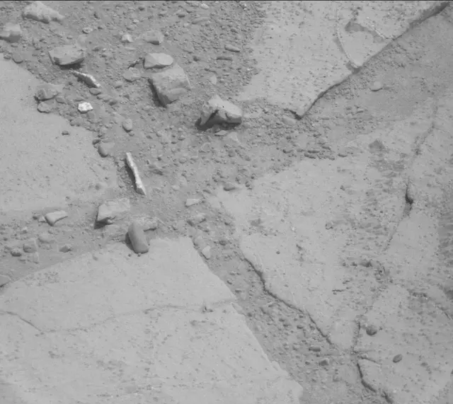 Sol 233: Mast Camera (Mastcam)