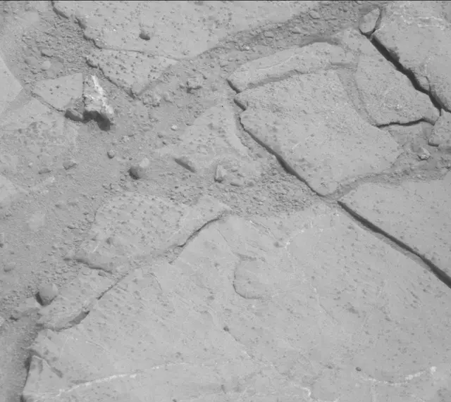 Sol 233: Mast Camera (Mastcam)