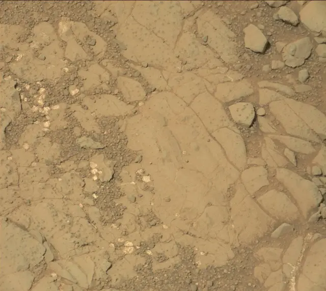 Sol 234: Mast Camera (Mastcam)