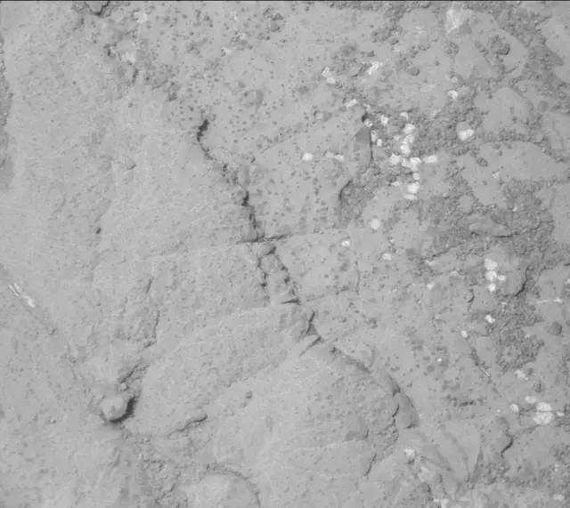 Sol 234: Mast Camera (Mastcam)