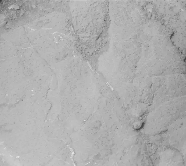 Sol 234: Mast Camera (Mastcam)