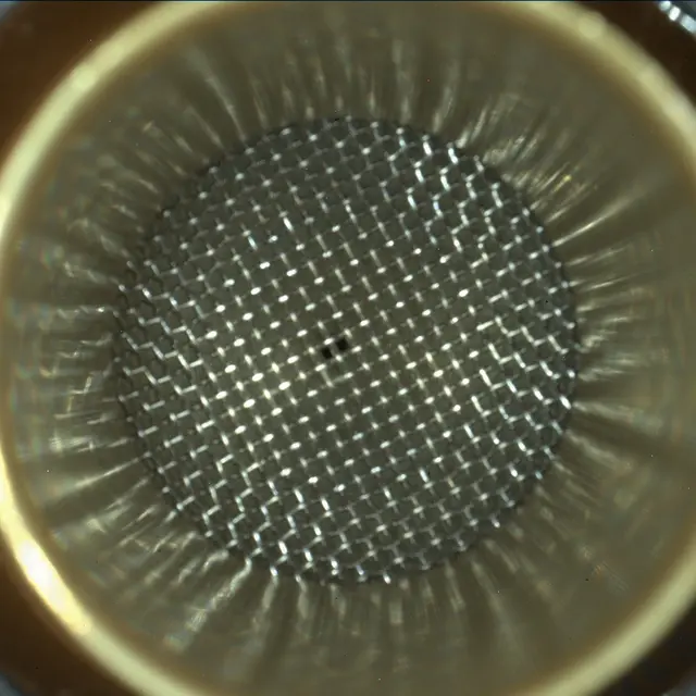 Sol 282: Mars Hand Lens Imager (MAHLI)