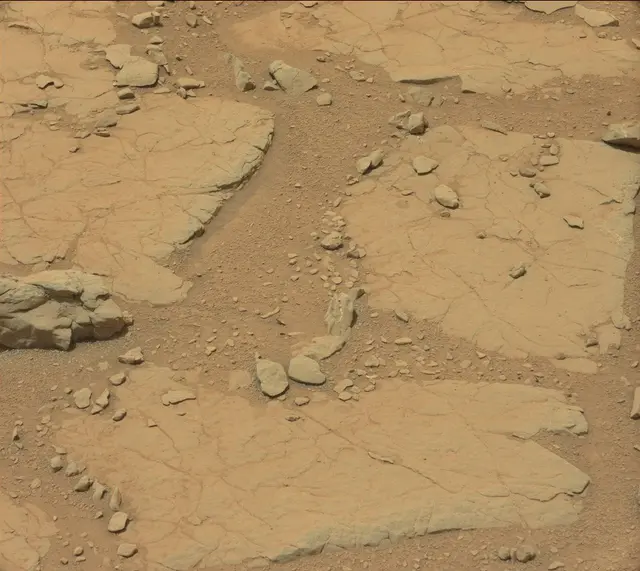 Sol 297: Mast Camera (Mastcam)