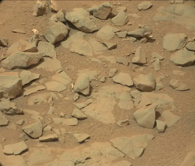 Sol 298: Mast Camera (Mastcam)