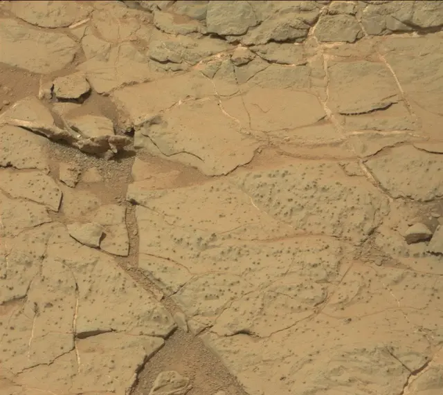 Sol 298: Mast Camera (Mastcam)