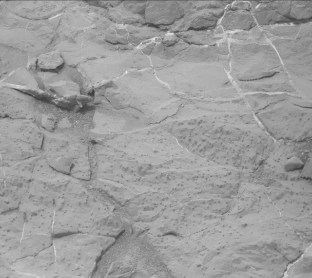 Sol 298: Mast Camera (Mastcam)