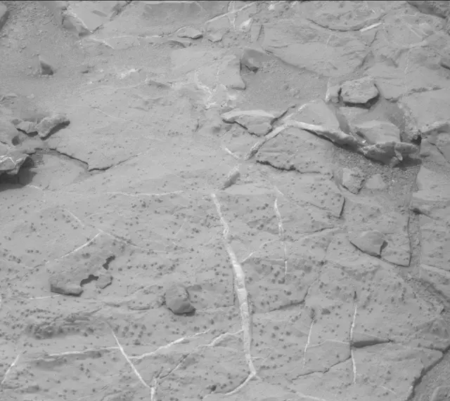 Sol 298: Mast Camera (Mastcam)