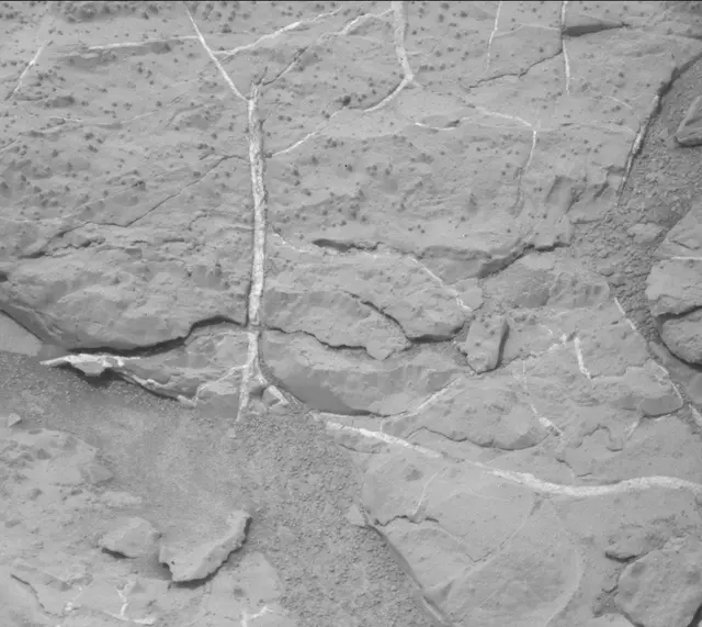 Sol 298: Mast Camera (Mastcam)