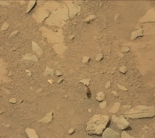 Sol 298: Mast Camera (Mastcam)