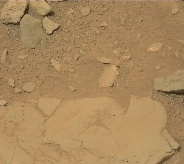Sol 298: Mast Camera (Mastcam)