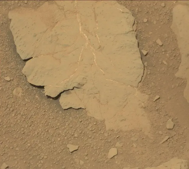 Sol 298: Mast Camera (Mastcam)
