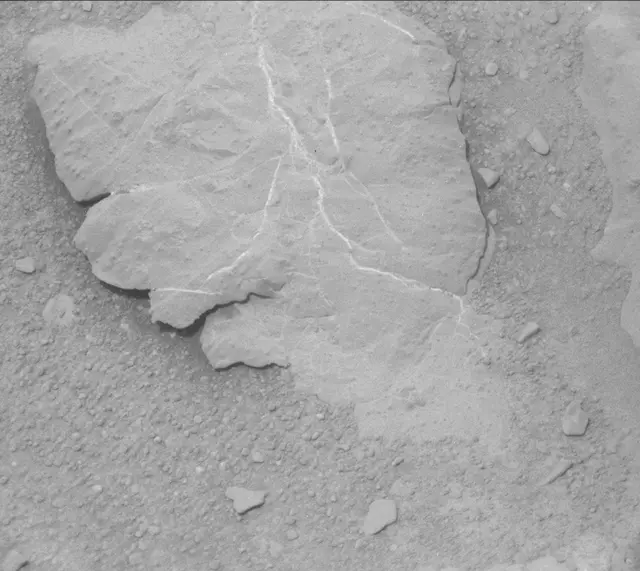 Sol 298: Mast Camera (Mastcam)