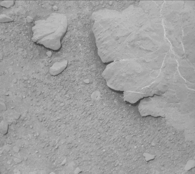 Sol 298: Mast Camera (Mastcam)