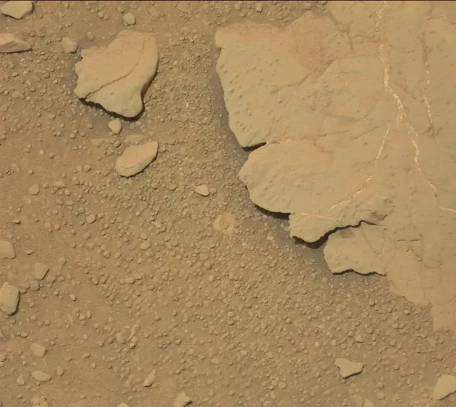 Sol 298: Mast Camera (Mastcam)