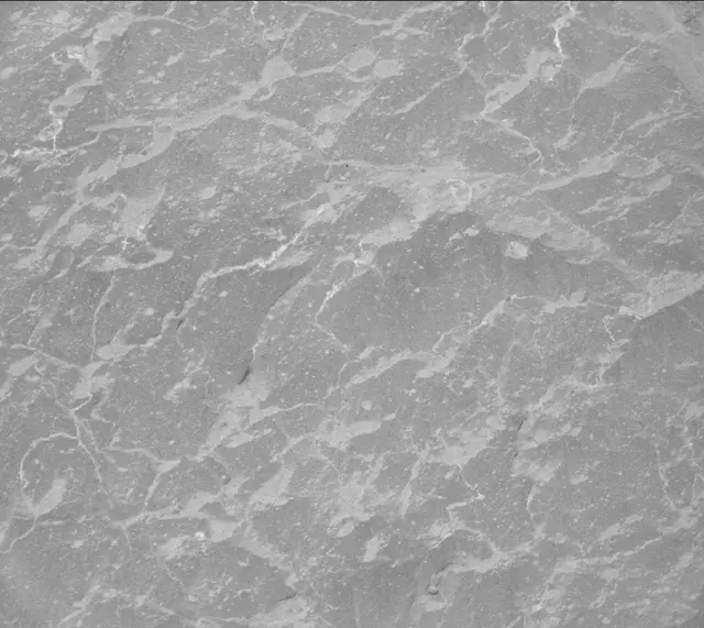 Sol 302: Mast Camera (Mastcam)