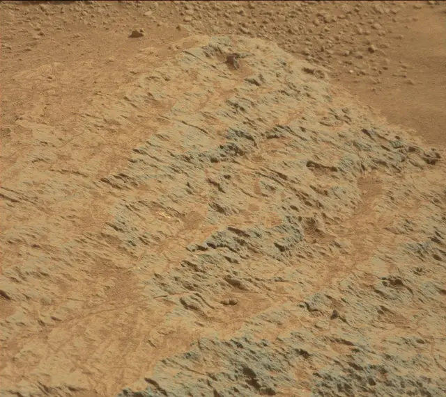 Sol 303: Mast Camera (Mastcam)