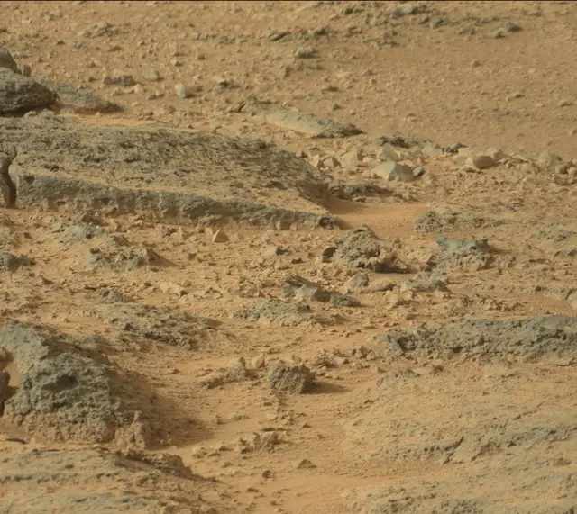 Sol 306: Mast Camera (Mastcam)
