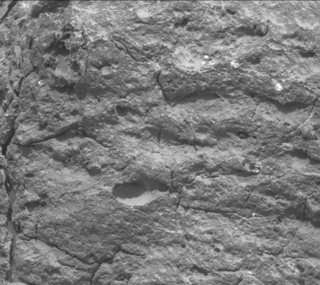Sol 306: Mast Camera (Mastcam)