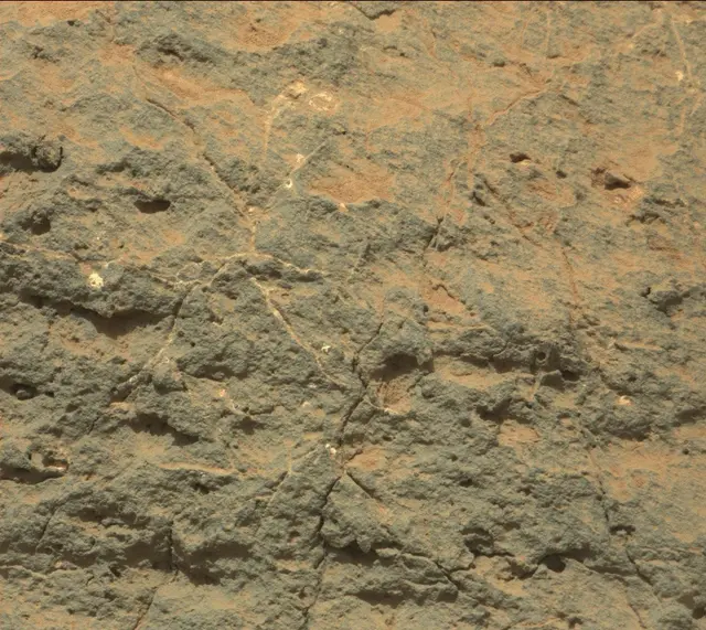 Sol 306: Mast Camera (Mastcam)