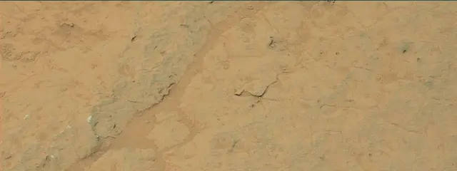 Sol 308: Mast Camera (Mastcam)