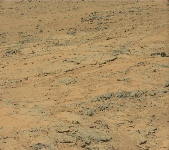 Sol 308: Mast Camera (Mastcam)