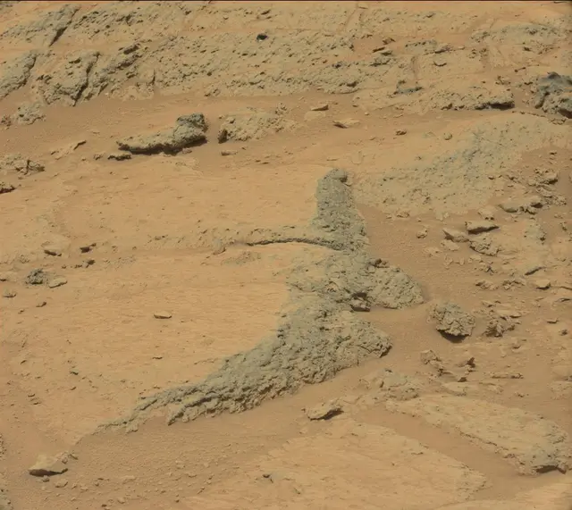 Sol 308: Mast Camera (Mastcam)