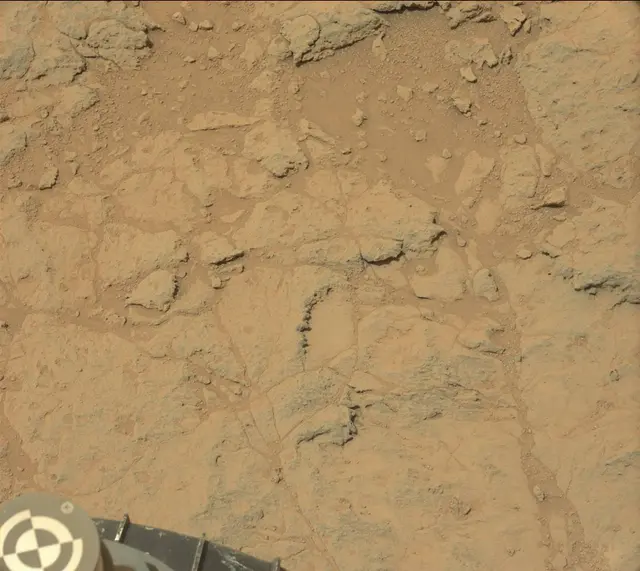 Sol 308: Mast Camera (Mastcam)
