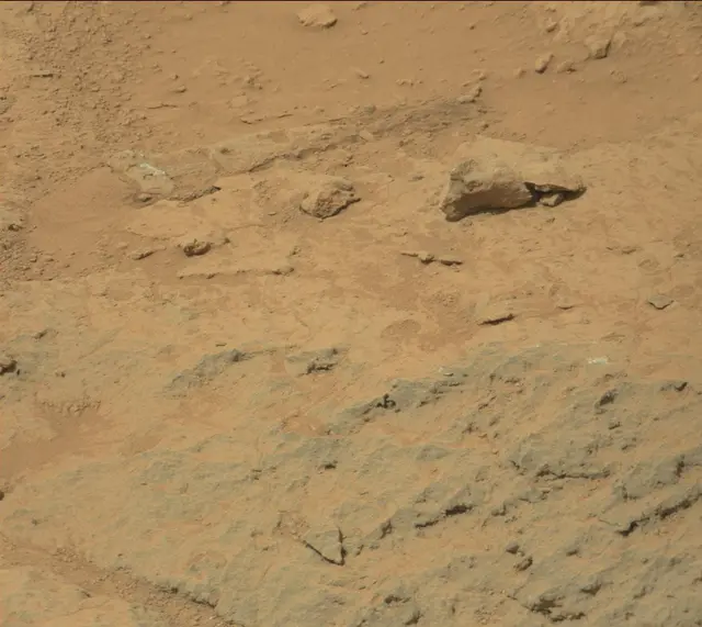 Sol 308: Mast Camera (Mastcam)
