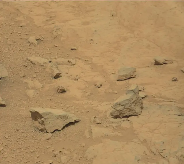 Sol 308: Mast Camera (Mastcam)