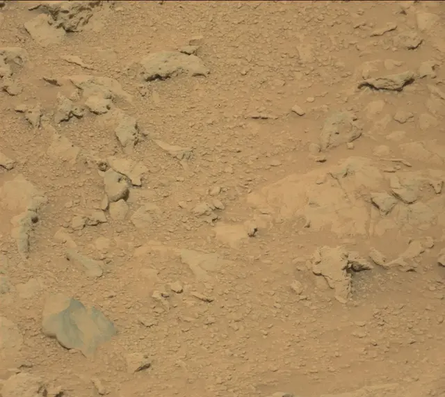 Sol 308: Mast Camera (Mastcam)