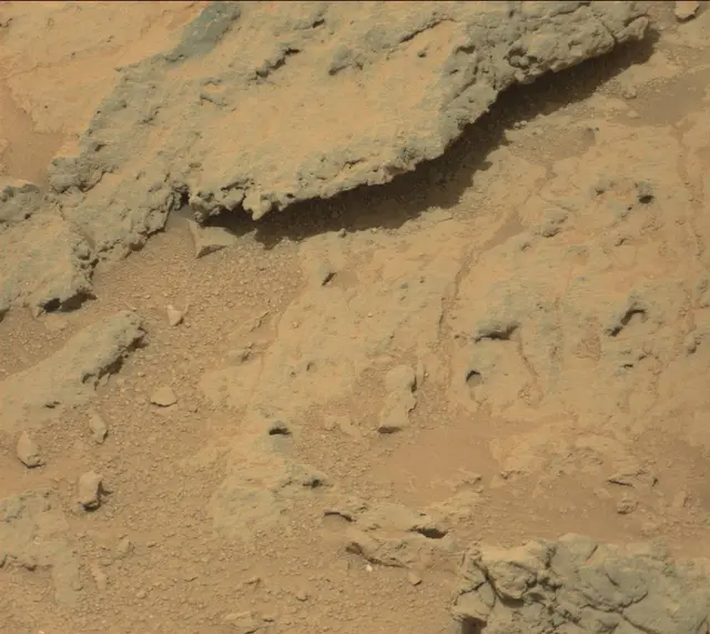 Sol 308: Mast Camera (Mastcam)
