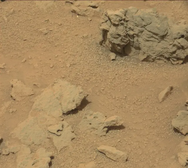 Sol 308: Mast Camera (Mastcam)