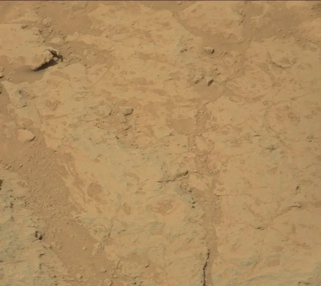Sol 308: Mast Camera (Mastcam)