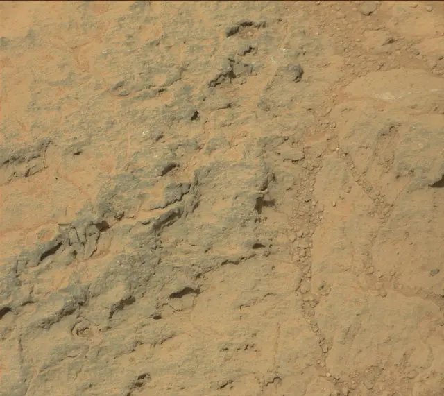 Sol 308: Mast Camera (Mastcam)