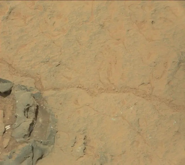 Sol 308: Mast Camera (Mastcam)