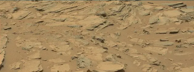 Sol 309: Mast Camera (Mastcam)