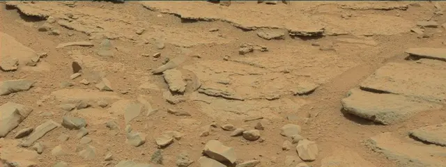Sol 309: Mast Camera (Mastcam)
