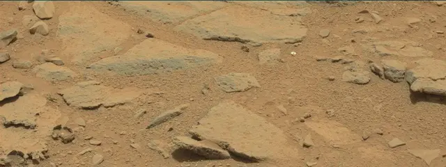 Sol 309: Mast Camera (Mastcam)