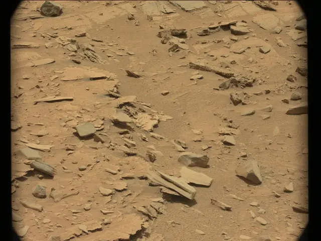 Sol 309: Mast Camera (Mastcam)