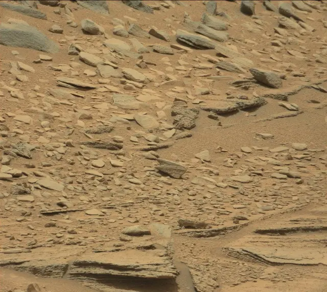 Sol 309: Mast Camera (Mastcam)